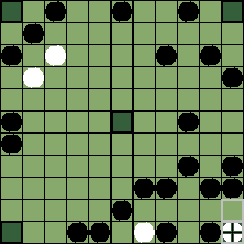 hnefatafl board