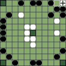 hnefatafl board