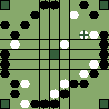 hnefatafl board