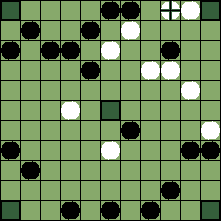 hnefatafl board