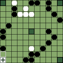 hnefatafl board