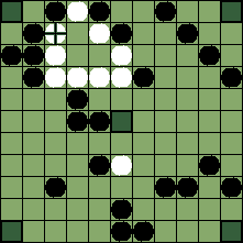 hnefatafl board