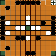 hnefatafl board