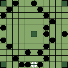 hnefatafl board