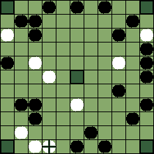 hnefatafl board