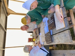 Kalundborg Middelalderfestival 2025