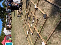 Kalundborg Middelalderfestival 2025