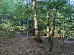 Lejre