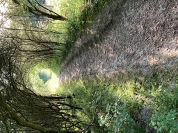 Lejre