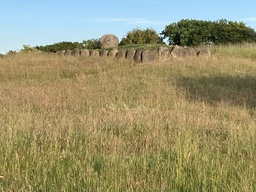 Lejre