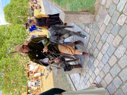 Ringsted Medieval Festival 2026